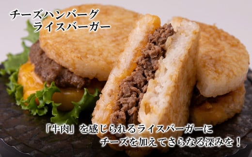 定期便 6カ月 和牛 ライスバーガー 食べ比べ 6個セット＜徳寿＞