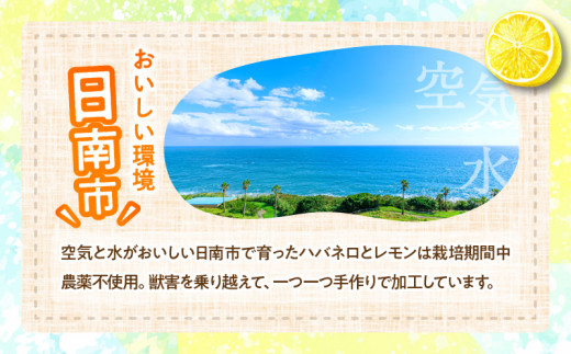 爽やか激辛食感 フルーティなハバネロソース 数量限定 宮崎 ハバネロ ソース 計4本 激辛ソース 調味料 おすすめ 加工品 オリジナル ブレンド 肉料理 パスタ ピザ ギフト プレゼント 贈り物 お取り寄せ 宮崎県 日南市 送料無料_BB138-24