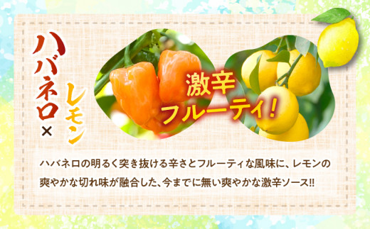 爽やか激辛食感 フルーティなハバネロソース 数量限定 宮崎 ハバネロ ソース 計4本 激辛ソース 調味料 おすすめ 加工品 オリジナル ブレンド 肉料理 パスタ ピザ ギフト プレゼント 贈り物 お取り寄せ 宮崎県 日南市 送料無料_BB138-24