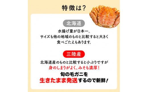 【令和7年発送】三陸産 三陸活毛ガニ400g×1杯（1尾）【2025年3月～4月発送】