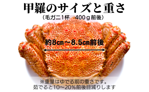 【令和7年発送】三陸産 三陸活毛ガニ400g×1杯（1尾）【2025年3月～4月発送】