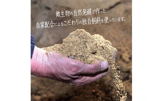 熟成豚 もも肉 ハム 4パック セット 詰め合わせ 長谷川自然牧場 レストラン山崎 冷凍 加工肉 加工品 豚 豚肉 お肉 肉 おつまみ つまみ 惣菜 おかず 朝食 夕飯 お弁当 サンドイッチ サンドウィッチ 熟成豚 ももハム 青森 青森県 鯵ヶ沢町