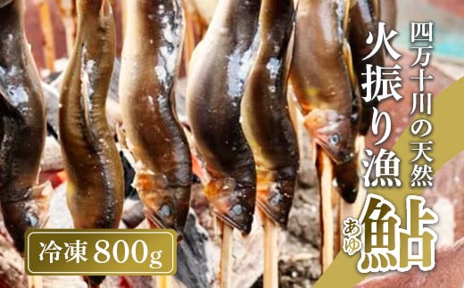 四万十川上流の天然鮎 新もの冷凍 火振り漁鮎 800g ( 冷凍 4～12尾 ) 鮎 あゆ アユ 川魚 高知県 四万十 天然 冷凍