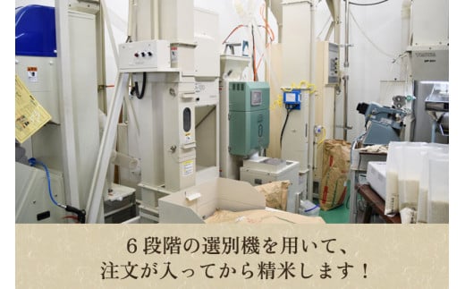 【令和5年産米】新潟産コシヒカリ「伝」白米真空パック 精米5kg 南麻布の高級料亭で提供される極上米 かやもり農園