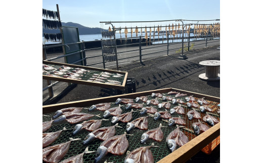 土佐清水発！さばとシイラの酒粕味噌粕漬けセット 高知県産 鮮魚 冷凍 肴 おかず 簡単調理 季節限定 10000円 1万円【R00833】