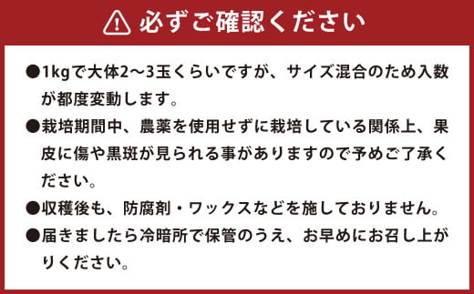 環境マイスターのグレープフルーツ 良品・訳あり 混合 4kg