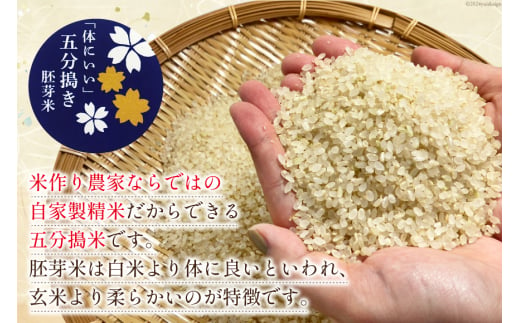 大わらじの里 宮谷 山のお米 五分搗き胚芽米 10kg [宮谷営農組合瑞穂ファーム 高知県 津野町 26aq0022] 五分搗き 五分づき 胚芽米 食物繊維