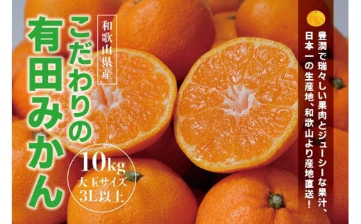 【農家直送】有田みかん 約10kg 大玉3L以上 有機質肥料100% ※2024年12月初旬～1月中旬に順次発送(お届け日指定不可) /みかん ミカン 温州みかん 柑橘 有田 和歌山 産地直送【nuk139D】