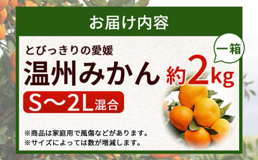 ＜とびっきりの愛媛 温州みかん 約2kg（家庭用大小混合）＞ 訳あり 家庭用 果物 柑橘 フルーツ 蜜柑 うんしゅうみかん ウンシュウミカン 特産品 片山果樹園 食べて応援 西宇和 愛媛県 西予市【常温】