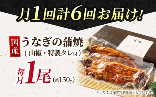 【6回定期便】 鰻蒲焼 1本パック 御嵩町 / 鰻 季節料理 魚邦 [AVBH009]