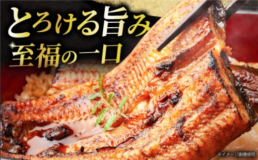 【6回定期便】 鰻蒲焼 1本パック 御嵩町 / 鰻 季節料理 魚邦 [AVBH009]