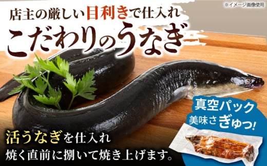 【6回定期便】 鰻蒲焼 1本パック 御嵩町 / 鰻 季節料理 魚邦 [AVBH009]