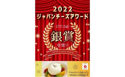 12ヶ月定期便 チーズ 4種 詰め合わせ 各1個 Osteria e Bottega S モッツァレラ ブラッターチーズ スカモルツァアフミカータ 神奈川県 茅ケ崎市 加工食品 乳製品 牛乳 手作業 ミルク 銀賞 幻のチーズ スモーク 塩漬け 美味しい  おつまみ ピザ 