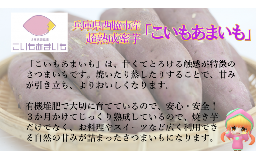 【訳あり】超熟成蜜芋 土付きふそろいさつまいも「こいもあまいも」2Sサイズ 合計６kg（05-60）　シルクスイート