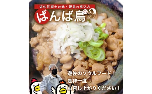 610　無添加　親鳥の煮込み「ばんばどり」　200ｇ×3袋　計600ｇ