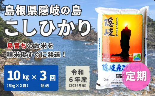 1708　【令和6年産】隠岐産 こしひかり 10kg（5kg×2袋）【毎月・3回配送】