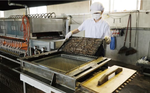 五島列島産 厳選 焼きあご 100g×6袋 / だし 和風 スープ 飛魚