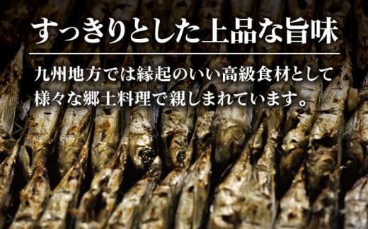 五島列島産 厳選 焼きあご 100g×6袋 / だし 和風 スープ 飛魚