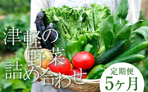 津軽の季節の野菜詰め合わせセット 《定期便》【5ヶ月連続】 【中泊町特産物直売所ピュア】旬の野菜 旬野菜 旬 新鮮 食品 グルメ 詰め合わせ ファーマーズマーケット 甘い サラダ 国産 お取り寄せ 青森 F6N-100