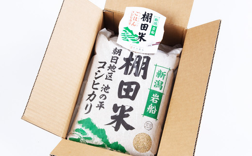 【新米受付・令和6年産米】【定期便：10ヶ月連続でお届け】 新潟県岩船産 棚田米コシヒカリ 玄米10kg ＋ 棚田米コシヒカリのパックごはん(150g×1個)×10ヶ月 1067045N