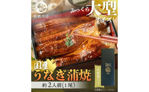 大型サイズ　ふっくら柔らか　国産うなぎ蒲焼き　１尾（約2人前）化粧箱入【土用の丑の日のうなぎ】【2025年2月1日までにお届け】【UT04】