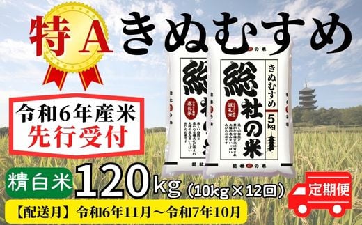 【令和6年産】特Aきぬむすめ【精白米】120kg 定期便（10kg×12回）岡山県総社市産米〔令和6年11月から令和7年10月まで毎月配送〕24-132-002