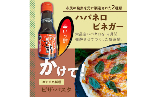 酢4本とおにおんスパイス1本 ( 酢 お酢 玉葱 タマネギ たまねぎ オニオンスパイス セット )【117-0002】