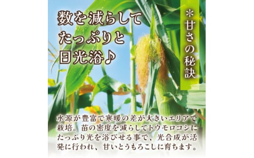 ＜蔵王の産直で毎日1000本完売＞生でも甘い♪行列ができるトウモロコシ『夢みらい』5本 数量限定【1500613】