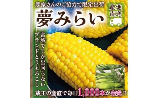 ＜蔵王の産直で毎日1000本完売＞生でも甘い♪行列ができるトウモロコシ『夢みらい』5本 数量限定【1500613】