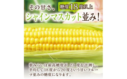 ＜蔵王の産直で毎日1000本完売＞生でも甘い♪行列ができるトウモロコシ『夢みらい』5本 数量限定【1500613】