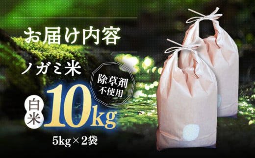 【新米】令和6年産 白米　10kg(5kg×2）