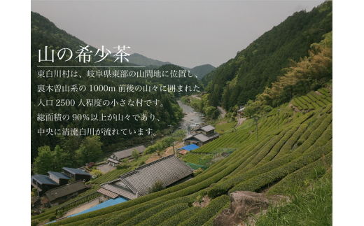 茶師が丁寧に仕立てた最高級煎茶 「神賜-しんし-」80g 茶蔵園 日本茶 緑茶 煎茶 茶葉 お茶 一番茶 春摘み 8000円