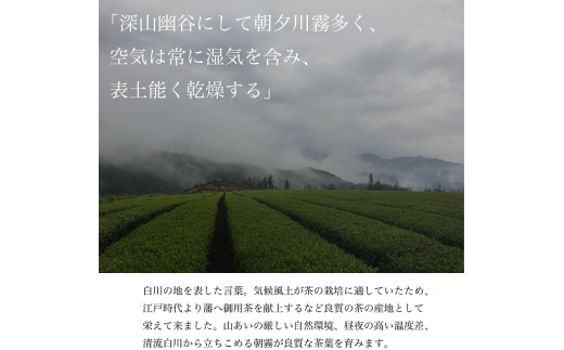 茶師が丁寧に仕立てた最高級煎茶 「神賜-しんし-」80g 茶蔵園 日本茶 緑茶 煎茶 茶葉 お茶 一番茶 春摘み 8000円