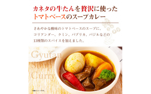 牛たんスープカレー250g×12袋【1368957】