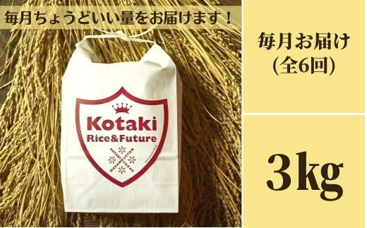 毎月ちょうどいい量をお届けます!希少米コタキホワイト3kg毎月お届け(6回)（令和6年産）