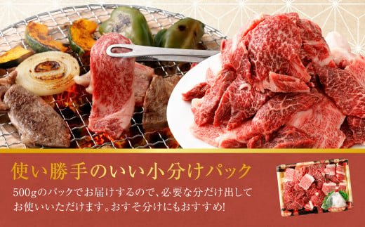 博多和牛焼肉切落しミックス 2kg（500g×4パック）（モモ、ウデ、バラ）