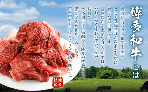 博多和牛焼肉切落しミックス 2kg（500g×4パック）（モモ、ウデ、バラ）