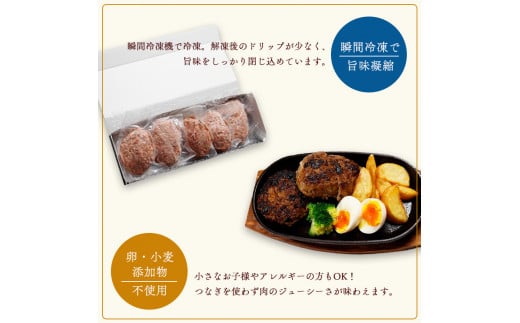 使いやすさ抜群！ 手ごね ハンバーグ 合計 600g （120g×5個）【 訳あり 訳アリ 冷凍 小分け 個包装 はんばーぐ 牛肉 豚肉 肉 お肉 合い挽き 牛ハンバーグ 洋食 簡単調理 人気 国産 綾部 京都 】