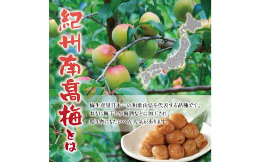 紀州南高梅　うす塩【ハチミツ入】 塩分5%（750g）なかやまさんちの梅干 うめ ウメ 梅干し【nky005-175k】