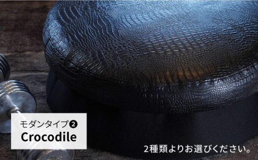 【Crocodile】ホームトランポリン モダンタイプ 糸島市 / 未来航路 クッション インテリア [AAB010-2]