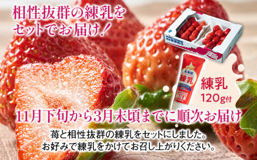 福岡産 あまおう  4パック 合計約1000g コンデンスミルク 練乳 いちご 苺 果物 フルーツ 九州産 福岡県産 冷蔵 送料無料【11月下旬発送開始予定】