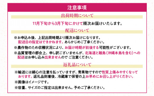 福岡産 あまおう  4パック 合計約1000g コンデンスミルク 練乳 いちご 苺 果物 フルーツ 九州産 福岡県産 冷蔵 送料無料【11月下旬発送開始予定】