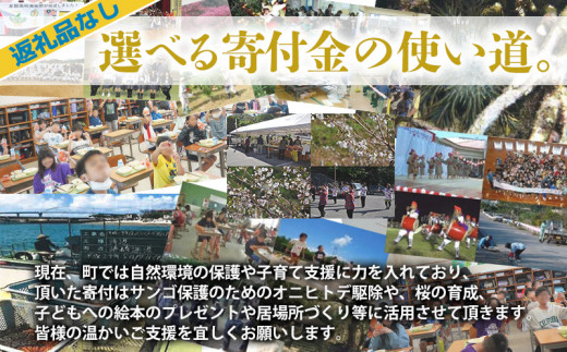 【返礼品なし】沖縄県本部町ふるさと応援寄附金 50000円 寄附のみの応援 寄附のみ 返礼品なし 返礼品無し　御礼品なし　御礼品無し