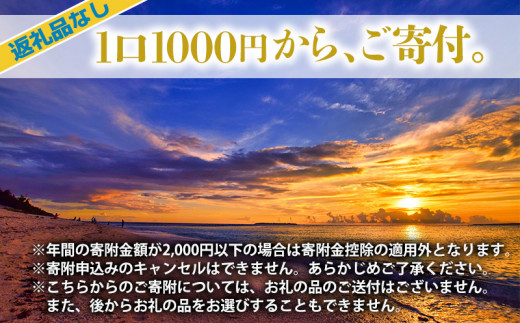 【返礼品なし】沖縄県本部町ふるさと応援寄附金 50000円 寄附のみの応援 寄附のみ 返礼品なし 返礼品無し　御礼品なし　御礼品無し