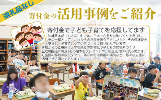 【返礼品なし】沖縄県本部町ふるさと応援寄附金 50000円 寄附のみの応援 寄附のみ 返礼品なし 返礼品無し　御礼品なし　御礼品無し