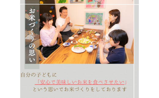  【新米予約】 定期便 コシヒカリ きぬむすめ 食べ比べ 玄米 各10kg × 4ヶ月 ( 令和6年産 先行予約 新米 玄米 10kg 40kg 4回 2品種 お米 おこめ ごはん 米 特別栽培米 ブランド米 ライス こだわり米 ギフト 国産 縁起の竜王米 滋賀県竜王町 )