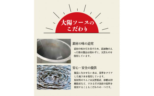 昔懐かし大陽ソース各500ml×3本セット 深瀬昌洋商店 《90日以内に出荷予定(土日祝除く)》 和歌山県 紀の川市