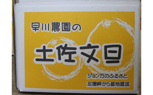 【先行予約】早川農園の土佐文旦（10kg） 柑橘 フルーツ みかん ミカン 果物 果実 10キロ ザボン ぶんたん おやつ デザート 甘い 美味しい ギフト 名物 高知産【R00579】