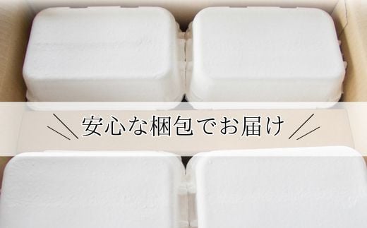 【定期便12ヵ月】《毎月10日お届け》御殿たまご 赤たまご 24個入（破損保障含む）（6個入モウルドパック×4P入） ｜ 卵 タマゴ 玉子 たまごかけご飯 生卵 鶏卵 卵焼き 国産 御殿場産 ※北海道・沖縄・離島への配送不可