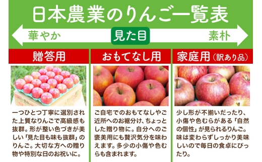 25年12月発送】りんご 平均糖度13度以上！ サンふじ 約10kg 贈答用